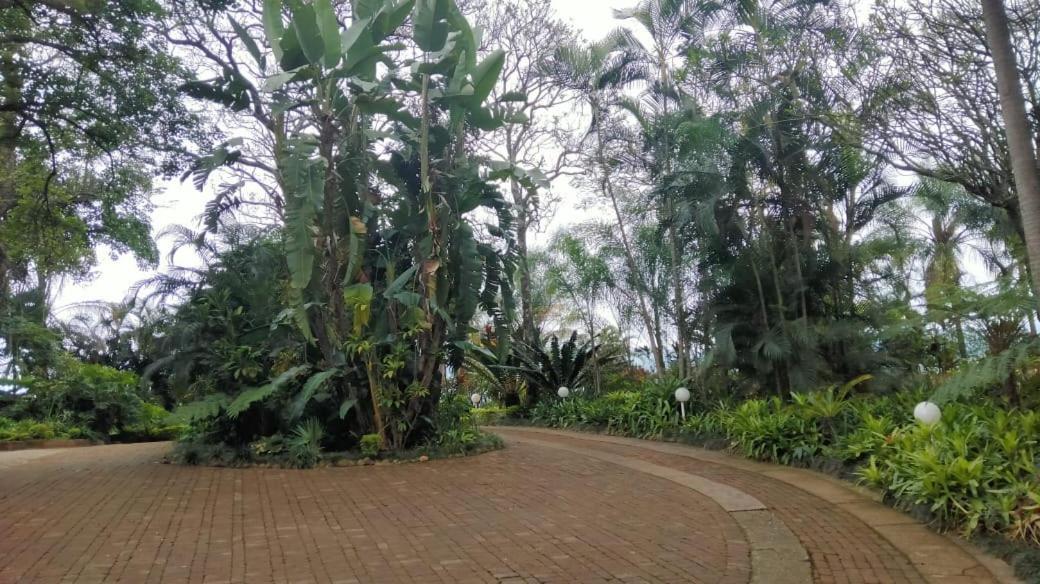 St George'S Guest House Tzaneen Pokój zdjęcie